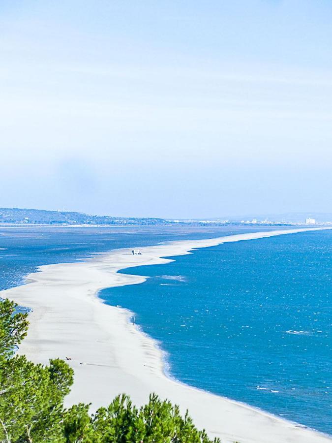Les Arenes - Port Leucate - Une Chambre - Terrasse - Proche Commerces - Tout Confort Eksteriør billede